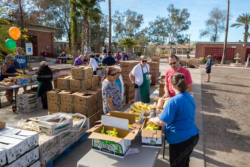 Food Assistance