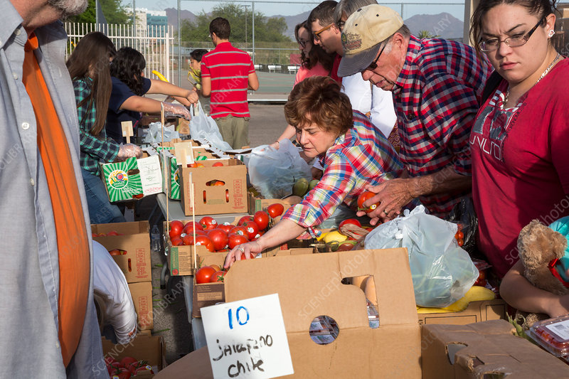 Nutrition Assistance